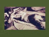 Radiacija ir jos poveikis žmogaus organizmui 17 puslapis