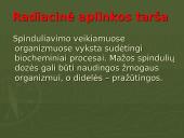 Radiacija ir jos poveikis žmogaus organizmui 3 puslapis