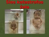 Radiacija ir jos poveikis žmogaus organizmui 8 puslapis