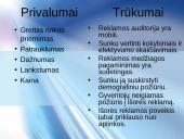 Reklama internete, jos galimybės 13 puslapis