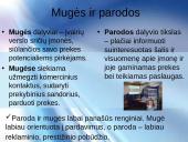 Reklama internete, jos galimybės 9 puslapis