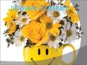 Reklamos išlaidų planas 2011 metams: Šiaulių filialas "Sarma" 11 puslapis