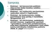 Rinkimai ir jų sistemos 4 puslapis