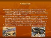 Roplių fiziologija 11 puslapis