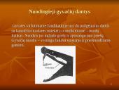 Roplių fiziologija 12 puslapis