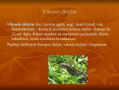 Roplių fiziologija 16 puslapis