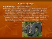 Roplių fiziologija 9 puslapis