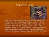 Roplių fiziologija 10 puslapis