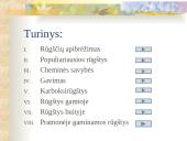 Rūgštys chemijoje 2 puslapis