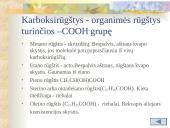 Rūgštys chemijoje 7 puslapis