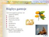 Rūgštys chemijoje 8 puslapis