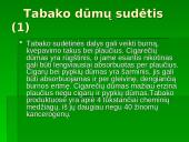 Rūkymas — pavojingas malonumas 4 puslapis