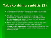 Rūkymas — pavojingas malonumas 5 puslapis