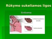 Rūkymas — pavojingas malonumas 6 puslapis
