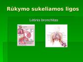 Rūkymas — pavojingas malonumas 8 puslapis