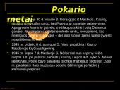 Lietuvių poetė Salomėja Nėris 12 puslapis