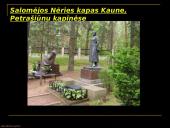 Lietuvių poetė Salomėja Nėris 13 puslapis