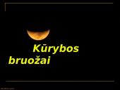 Lietuvių poetė Salomėja Nėris 15 puslapis