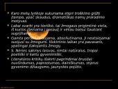 Lietuvių poetė Salomėja Nėris 18 puslapis