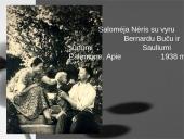 Salomėja Nėris. Kūryba ir asmenybė 17 puslapis