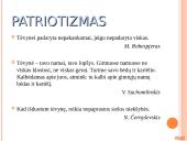 Sentencijos: negatyvios bei pozityvios sąvokos 12 puslapis