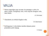 Sentencijos: negatyvios bei pozityvios sąvokos 17 puslapis