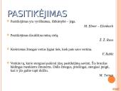 Sentencijos: negatyvios bei pozityvios sąvokos 10 puslapis