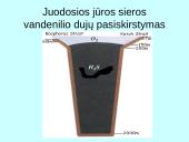 Sieros vandenilio kiekio kaita vandenyje 8 puslapis