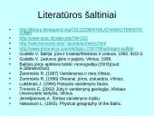 Sieros vandenilio kiekio kaita vandenyje 10 puslapis