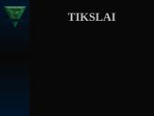 Skurdas Lietuvoje 2 puslapis