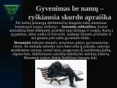Skurdas Lietuvoje 15 puslapis
