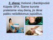 Slovakija. Maršrutas po Bardejovo miestą ir jo apylinkes 7 puslapis