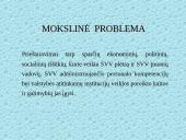 Smulkaus ir vidutinio verslo administravimo plėtros strategija Lietuvoje 2 puslapis