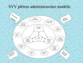 Smulkaus ir vidutinio verslo administravimo plėtros strategija Lietuvoje 12 puslapis