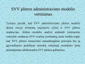 Smulkaus ir vidutinio verslo administravimo plėtros strategija Lietuvoje 17 puslapis