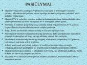 Smulkaus ir vidutinio verslo administravimo plėtros strategija Lietuvoje 18 puslapis