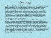 Smulkaus ir vidutinio verslo administravimo plėtros strategija Lietuvoje 20 puslapis