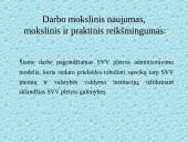 Smulkaus ir vidutinio verslo administravimo plėtros strategija Lietuvoje 7 puslapis