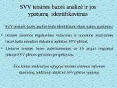 Smulkaus ir vidutinio verslo administravimo plėtros strategija Lietuvoje 8 puslapis