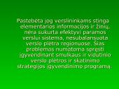 Smulkaus ir vidutinio verslo plėtros ir skatinimo programa 2 puslapis