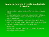 Smulkaus ir vidutinio verslo plėtros ir skatinimo programa 11 puslapis