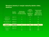 Smulkaus ir vidutinio verslo plėtros ir skatinimo programa 12 puslapis