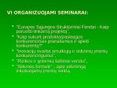 Smulkaus ir vidutinio verslo plėtros ir skatinimo programa 13 puslapis