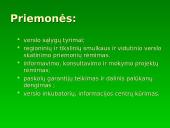 Smulkaus ir vidutinio verslo plėtros ir skatinimo programa 4 puslapis