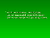 Smulkaus ir vidutinio verslo plėtros ir skatinimo programa 9 puslapis