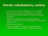 Smulkaus ir vidutinio verslo plėtros ir skatinimo programa 10 puslapis