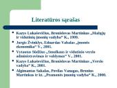 Smulkių bei vidutinių įmonių valdymas 17 puslapis