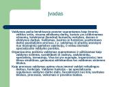 Smulkių bei vidutinių įmonių valdymas 3 puslapis