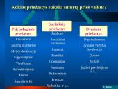 Smurto reiškinių daugėjimas Lietuvoje prieš vaikus 9 puslapis