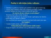 Smurto reiškinių daugėjimas Lietuvoje prieš vaikus 10 puslapis